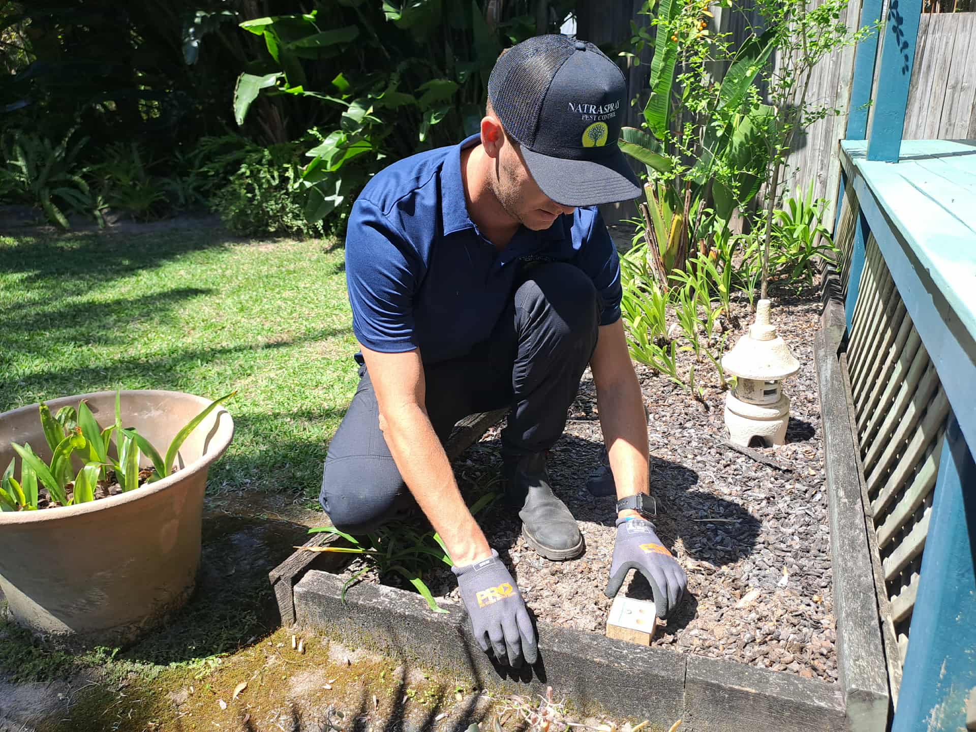 Natraspray technician placing environmentally safe pest monitoring devices